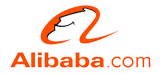Project Name